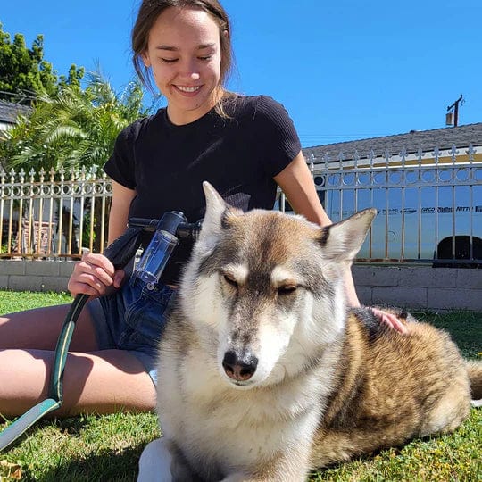 Canishower Pro - Sistema de baño canino de alto rendimiento